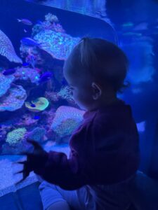 Aquarium mit Sitzfläche